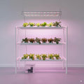 Hydroponic Grow KitPump TimerFood-Grade PVC-U Pipes Hydroponics Planting System with Water Pump Nest Basket and Sponge for Leafy Vegetables