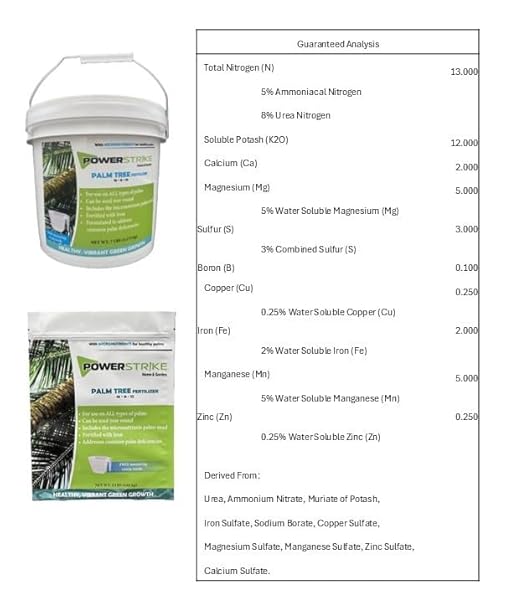Power Strike Palm Tree Fertilizer. 7 LB Pail with Free Measuring Scoop. Fortified with Iron (Fe). Formulated to Address Common Palm Deficiencies. Includes micronutrients Palms Need to Thrive. (7LB)