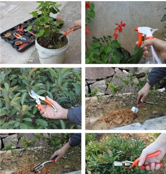 12 Piece Garden Tools Set Stainless Steel Gardening Hand Tools with Handheld Box Gifts for Gardeners Perfect for Planting Weeding Pruning