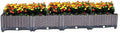 YSUEFIJO Raised Garden Bed with Self Watering Planter Box and Drainage Plug Elevated Vegetable Growing Bed Planter Raised Beds for Vegetables Flowers Herbs and Succulents