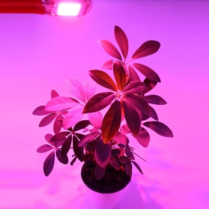 Pack of 10 LED COB Chip Grow Light AC110V 10W/20W/30W/50W Full Spectrum Indoor Plant Seedling Grow Lighting Household Bulbs(Cold White110V 10W)