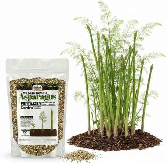 Old Cobblers Farm™ Wicked Growth Asparagus Fertilizer – Balanced Formula for Healthy Spears &amp Strong Root Growth – Supports Early Season Growth (5 lbs | 10 lbs | 15 lbs | 20 lbs) (5 lbs)