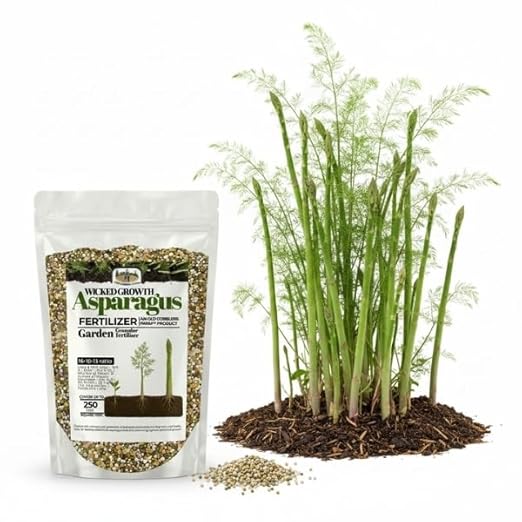 Old Cobblers Farm™ Wicked Growth Asparagus Fertilizer – Balanced Formula for Healthy Spears &amp Strong Root Growth – Supports Early Season Growth (5 lbs | 10 lbs | 15 lbs | 20 lbs) (5 lbs)