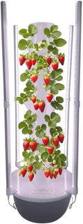 GRETEGO G&ampGO Hydroponics Growing System Kit with LED Grow Lights Aero Gardening System Hydroponic Tower 28 Net Pots Tomato Green Salad Strawberry Tower for Your Indoor Vegetable Garden