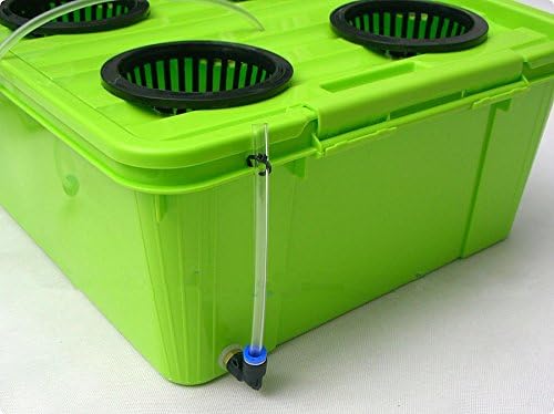 GOWE DWC Hydroponics system with big reservior with 6 site of basket cup