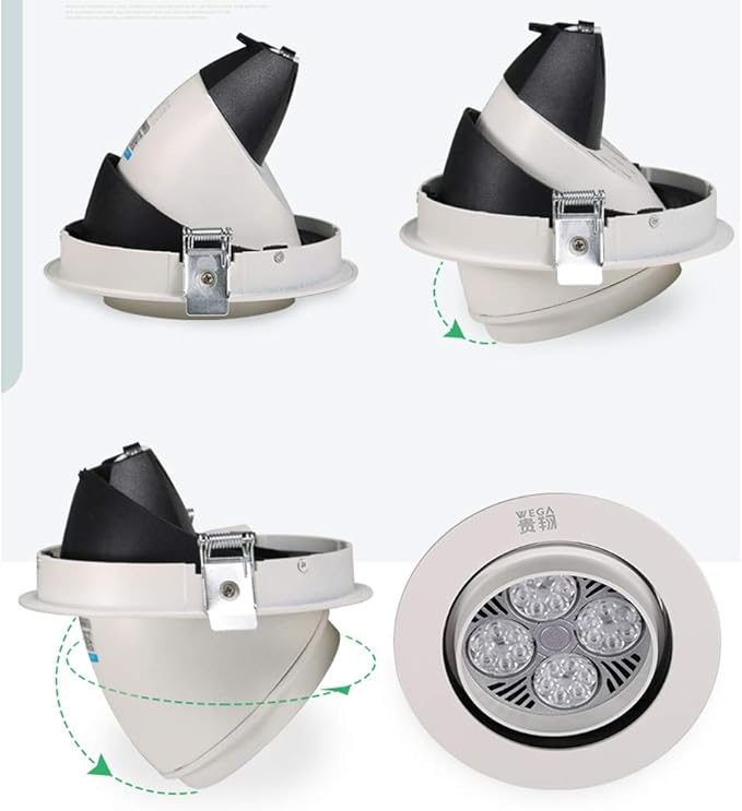 Luce di riempimento per piante da 24 W Faretto da soffitto a spettro completo per la crescita della parete di piante grasse e fiori per interni a LED