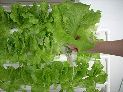 Hydroponic Grow Kit 4 Layers 36 Plant Sites Garden Planting System Hydroponic Growing System Water Culture Garden Plant System Garden Vegetable Planting Tool