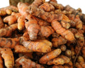 15 Fresh Turmeric Roots for Planting Golden Orange Turmeric Ginger Whole Perennial Herb