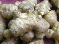 Stampede Jerusalem Artichoke Tubers (Organic) Per Tuber - Early Maturing - Big Tubers - Stampede Variety Sunchokes (5 Tubers)