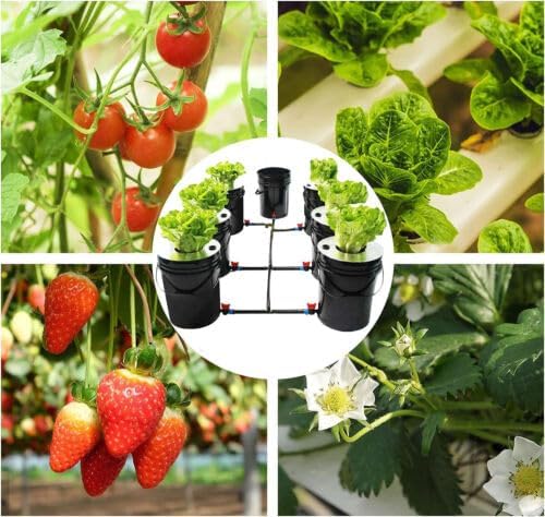 TBVECHI 7 Buckets DWC Hydroponics Grow System with Top Drip Kit 5 Gallon Deep Water Culture Bucket System Full Set of Recirculating Drip Garden System with Air Hose Air Pump Air Stone