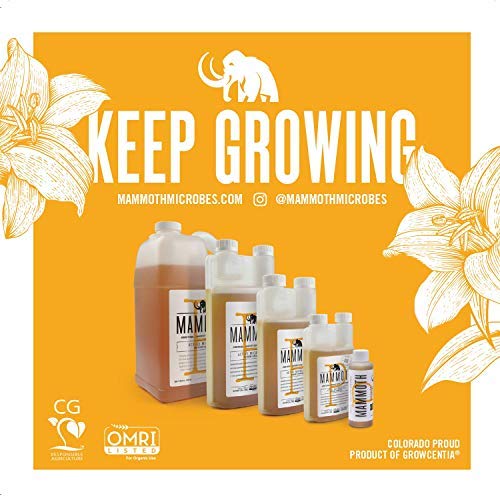 Mammoth P Organic Fertilizer Microbial Inoculants 16% Increase in Yield Maximize Phosphorous and Enhance Plant Health Nutrient Supplement Proven to Grow Bigger Yields - 1 Gallon/4 Liter