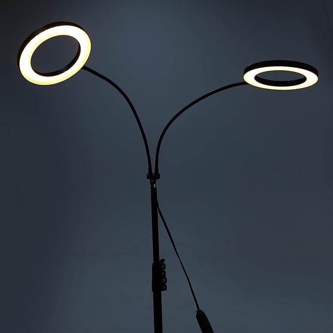 Buachois Plant Grow Light with 3/9/12H Timer 6 Brightness Levels Full Spectrum 108 LEDs Height Adjustable Floor Standing Lamp for Indoor House Plants (US Plug 2 Heads 20W Use 2A Adapter)