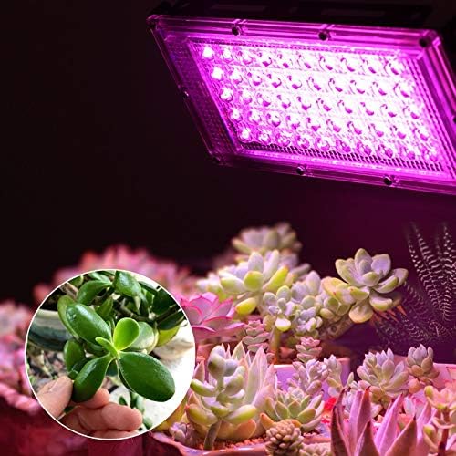 Fengyan Landscape Lights 50W 100W LED Grow Light 220V Full Spectrum Phytolamp LED Plant Grow Lamp LED Outdoor Floodlight Grow Box for Flower Seeding LED Street Lamp