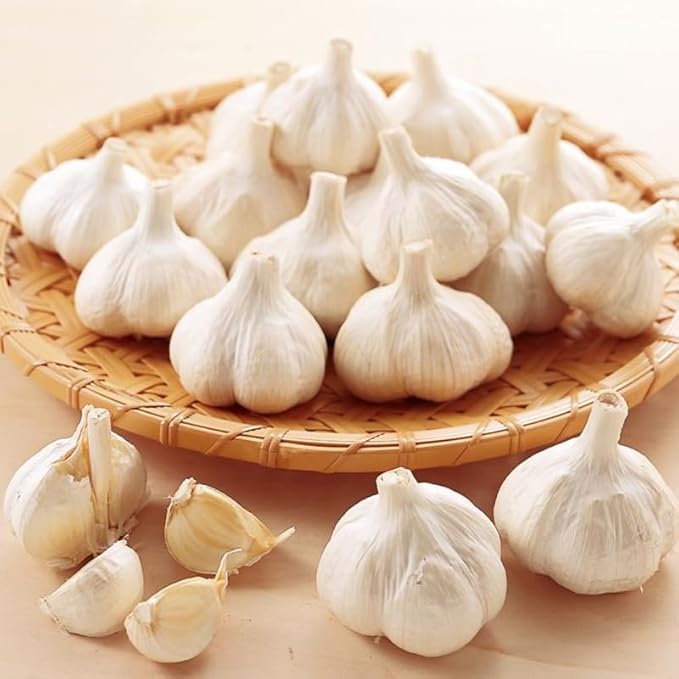 1 Lb Rare White Garlic Bulbs for Planting 8 Hardy Garlic Bulbs for Planting Home Vegetable Garden or Raised Beds Hardneck Garlic Bulbs