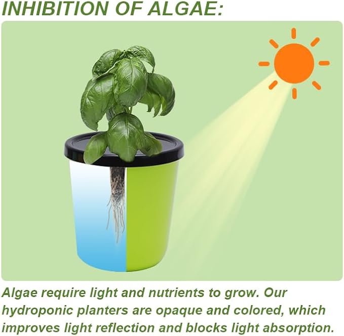 Kratky Method Hydroponic Planter Kit 8 Hydroponic Planter Plus 24 Growing Sponges for Herbs Hydroponic Mini Buckets for Windowsill Herb Garden Hydroponic Growing System for Vegetables