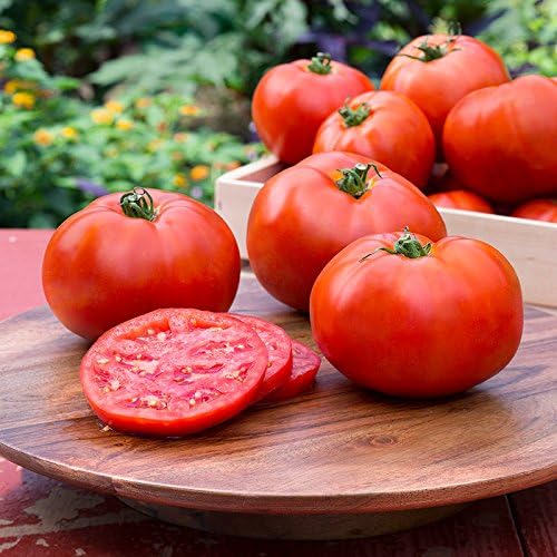 Big Boy Tomato Live Vegetable Plants 4-Pack