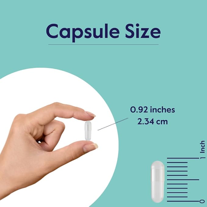 BESTVITE Liposan Ultra Chitosan 500mg (240 Capsules) - Patented Faster Acting Than Regular Chitosan - No Stearates - No Fillers