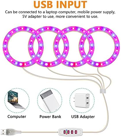 LED Grow Light USB Indoor Full Spectrum Phyto Grow Lamp Phytolamp for Plants 5V Lamp for Plants Growth Lighting for Indoor Plant (Size:3 HeadsColor:Natural Light)