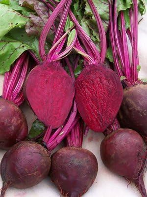 Dirt Goddess Super Seeds ~ Detroit Dark Red Beet Seeds NON GMO (1 Lb)