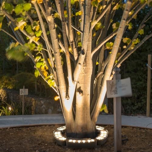 12W LED Ring Lights for Tree Roots Uplighting IP65 Waterproof Outdoor Landscape Lighting Kit 1160LM 24V Wired Garden Spotlights (3000K 5 Lights)