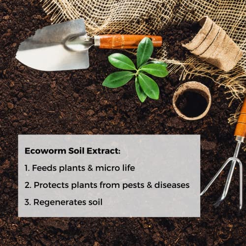Ecoworm Soil Extract – Organic Liquid Vermicompost Fertilizer &amp Soil Microbe Booster for Fruits Vegetables &amp Gardens – 35 fl oz (Makes 53 Gallons)
