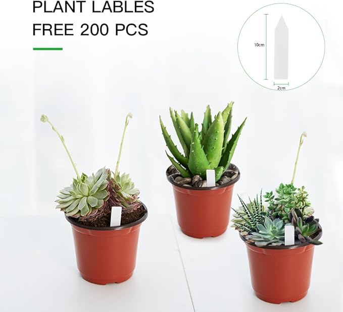 JERIA 200 Pack 6 Inch Plastic Nursery Pots Comewith Drainage Holes Seedling Flower Plant Container and Seed Starting Pots with 200 Pcs Labels