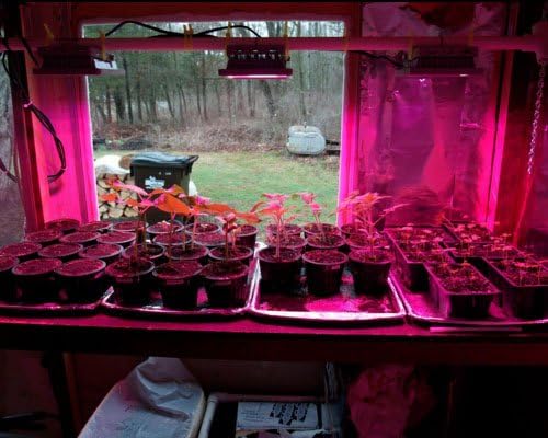 ACKE LED Grow Lights Full SpectrumPlant LightsGrowing Lamps 12W for Indoor PlantsHydropoincs