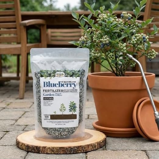 Old Cobblers Farm™ Wicked Organics Blueberry Fertilizer – Balanced Plant Food for Acid-Loving Plants Supports Strong Roots Green Foliage &amp Abundant Blooms (5 lbs | 10 lbs | 15 lbs | 20 lbs) (20l