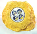 33846-4 Solar Power Sandstone Rock Spot Lights Set of 4