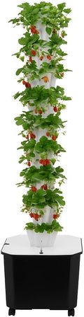 10-Tier 50-Hole Vertical Hydroponic Growing System with Wheels &amp Timer | Indoor Outdoor Herb Garden Kit for Lettuce Strawberries Vegetables | Soilless Self-Watering Planter (White)