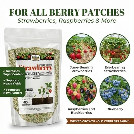 Old Cobblers Farm™ Wicked Growth Strawberry Fertilizer – Boosts Soil Quality Higher Berry Yields &amp Robust Growth – Long-Lasting Nutrients for Home Gardens &amp Larger Plantings (5/10/15/20lbs) (