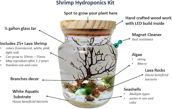 Shrimp Jar Kit with LED Light (Shrimp Included)