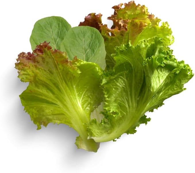Gardeners' Choice Products Heirloom Cutting Mix Lettuce - Complete Seed Pod Plugs with Plant Food - 10 Pods for Hydroponic Gardens Click and Grow Lettuce Grow and Outdoor Gardens