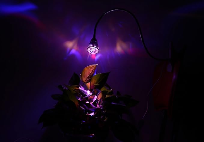Wall Lights 5W Led Grow Light Full Spectrum with 5 LEDs Clip Desk Lamp Plant Light for Hydroponics Garden Greenhouse Plant Cn Plug