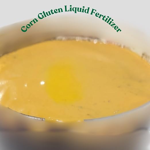 Liquid Corn Gluten Fertilizer Natural Nitrogen 1000 Sq Ft Coverage - GMO-Free All-Natural Lawn Care for Grass | Amaize Non-Toxic and Eco-Conscious Formula with Corn Gluten | 32 fl oz Bottle