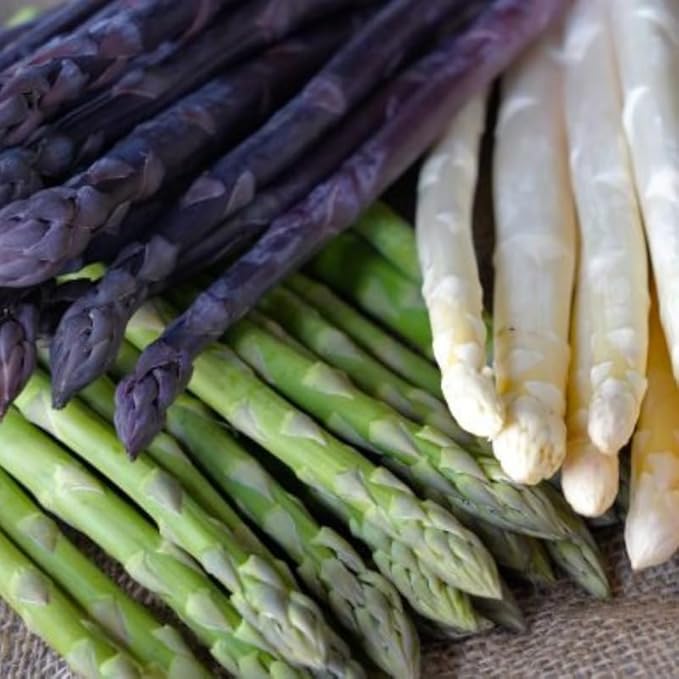 20 Mix Asparagus Roots - Bare Root Asparagus Crowns for Planting Perennial Vegetable Plants for Outdoor Garden