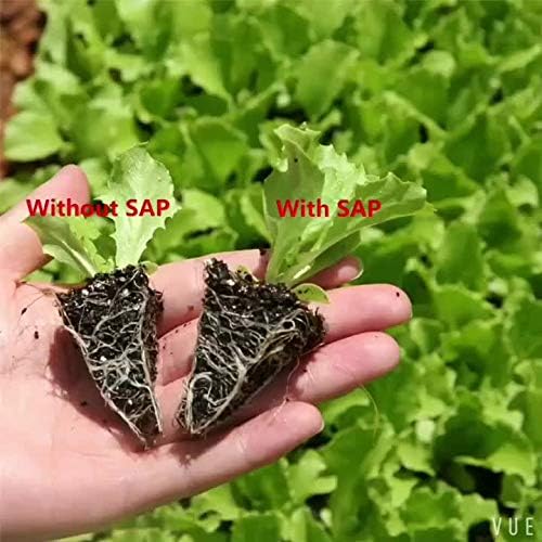 Introducing Soil Vigor® Granular: Revolutionizing Plant Hydration and Growth - 2 Pounds (Large Granules / 5-10 mesh)