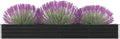 Garden Raised PlanterGarden BedGalvanized Raised Garden BedPlanter Raised bedsGalvanized PlanterFlower BedBed Galvanized Steel 126x15.7x17.7 Anthracite