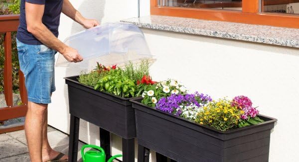 Exaco 645141 Balcony Planter Protective Cover Raised Bed Clear