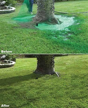 Hydro Mousse - Liquid Lawn Refill Pack 2lb Bag (Covers 400sq. ft.)