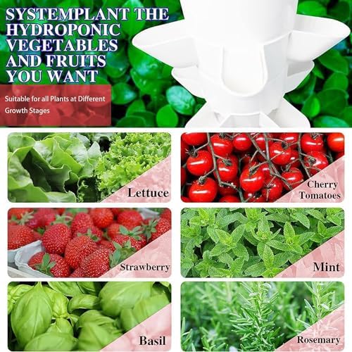Indoor Hydroponic Growing System with Timer &amp Net Pots for Efficient Herb Fruit &amp Vegetable Gardening - Perfect for Home &amp Urban Growers