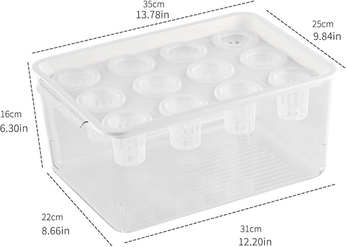 Modern Hydroponic Growing Setup Container Featuring Viewing Window for Home Vegetables Plant Progress Plant Growing Greenhouse Container