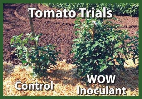 Wallace Organic Wonder Soil and Plant Booster