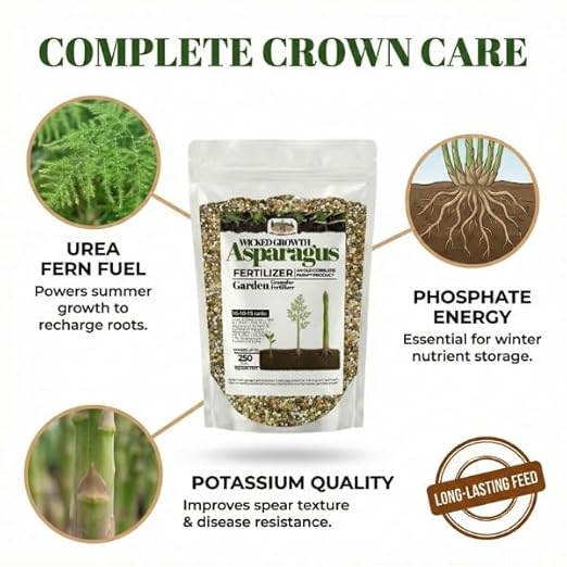 Old Cobblers Farm™ Wicked Growth Asparagus Fertilizer – Balanced Formula for Healthy Spears &amp Strong Root Growth – Supports Early Season Growth (5 lbs | 10 lbs | 15 lbs | 20 lbs) (5 lbs)