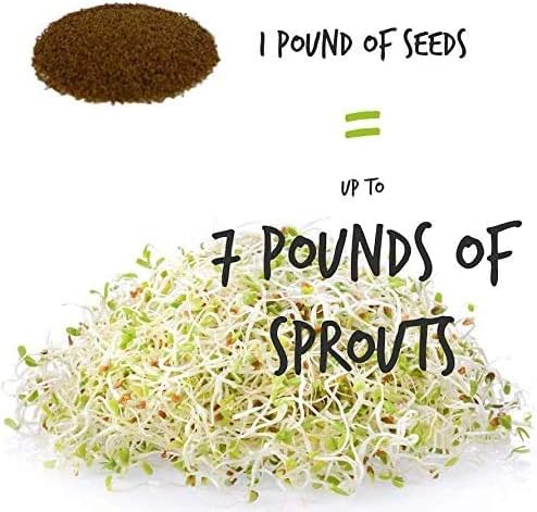 Organic Sprouting Seed Mix – 2.5 lb – 10 Varieties: Alfalfa Mung Bean Broccoli Lentil Clover Buckwheat Radish Bean Salad More