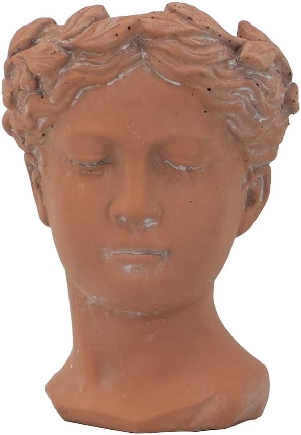 D6x9 Visage Head Bust Planter Brown