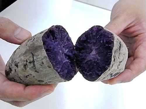 Japanese Purple Sweet Potato(2 LBS) Eating or Planting