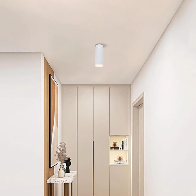 Spotlight Led Flush Mount Spotlamp Directio l Downlight Indoor Spotlights for Living Room Gallery Picture Panting Accent Lighting