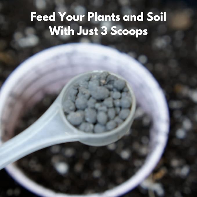 Start | Mycorrhizal Fungi &amp Organic Kelp Meal Soil Booster for Transplant and Top Dressing | Root Enhancer and Living Soil Booster