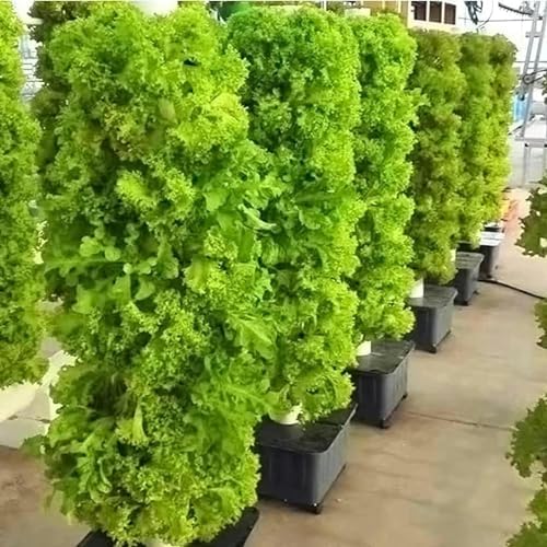 Hydroponic Growing Kits 45 Holes Hydroponics Growing ｜ Indoor Grow Vertical Grow Tower Hydroponic Planting Equipment for Fruits